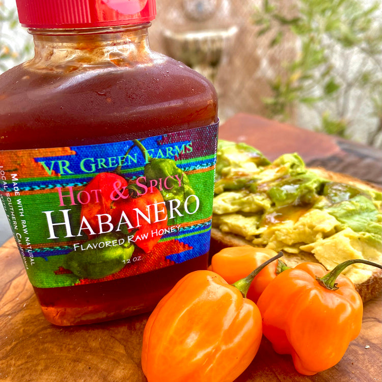 Hot Habanero Honey Squeeze Bottle