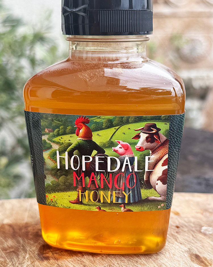 Hopedale Two-Jar Flavored Honey Gift Box
