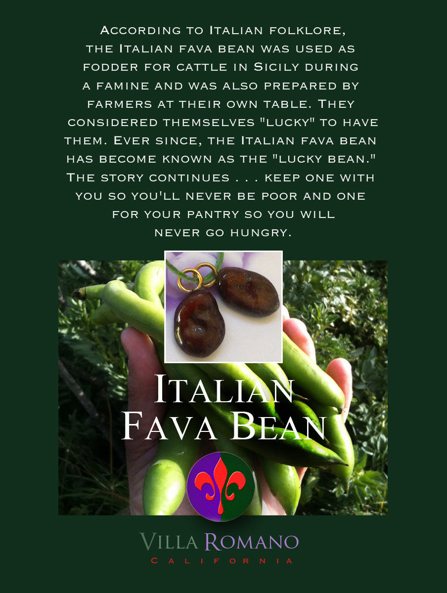 Grape Harvest 2 Bottle Leather/Canvas Bag — Tricarico, Italy