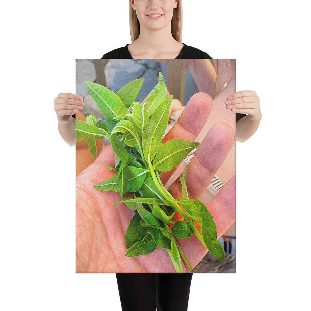 Fresh Basil Wrapped Canvas Print