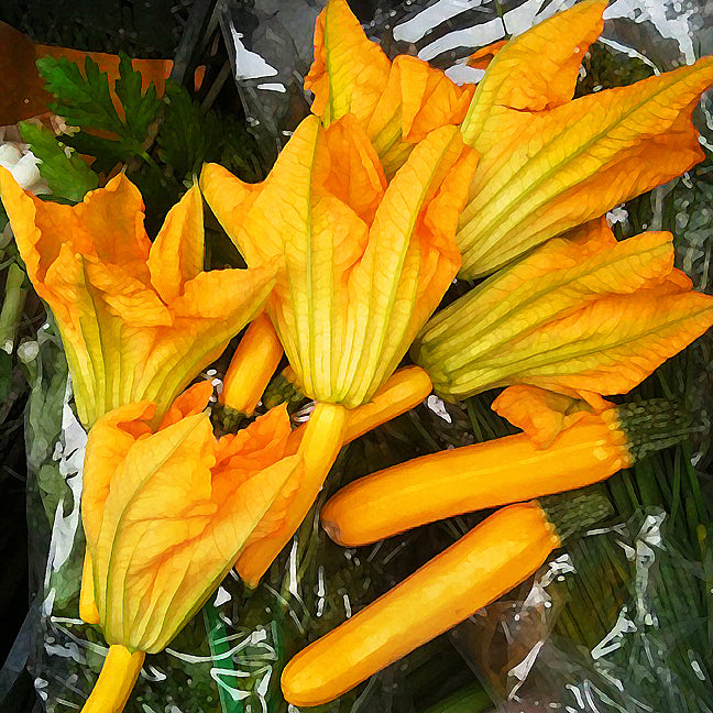 Zucchini Flowers Wrapped Canvas Print