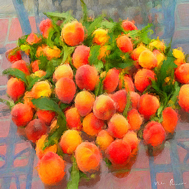 Summer Peaches Wrapped Canvas Print