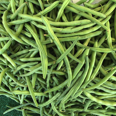 Blue Lake Beans per 3/4 lb.