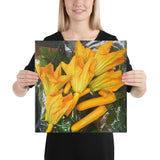 Zucchini Flowers Wrapped Canvas Print
