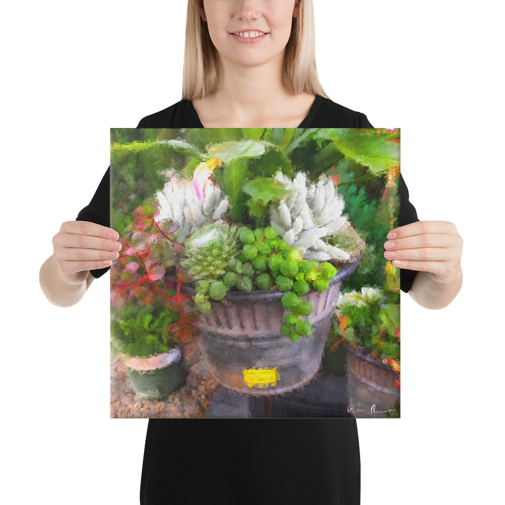Potted Plants Wrapped Canvas Print