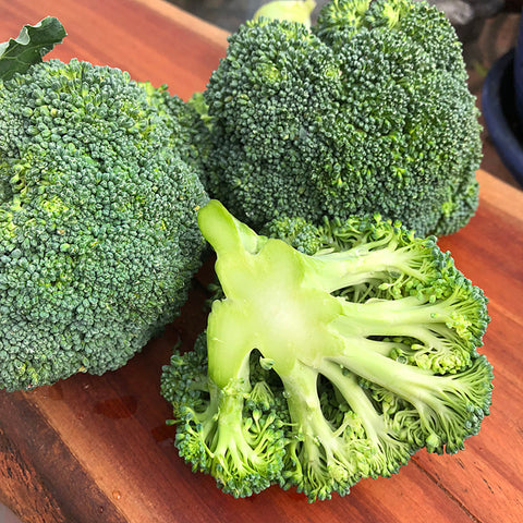 Broccoli Head per lb.