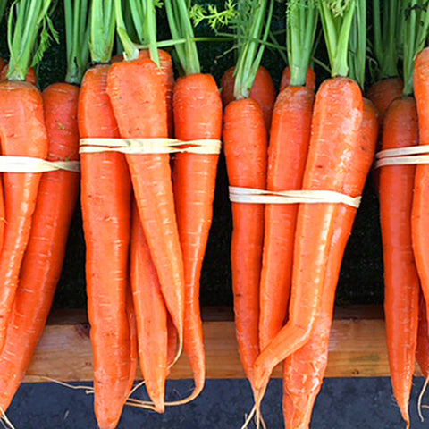 Orange Carrots per bunch