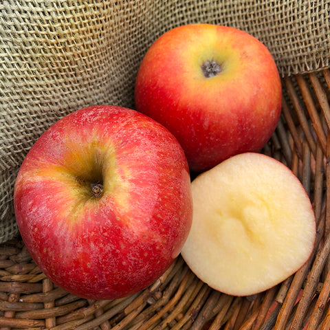 Gala Apples per lb.