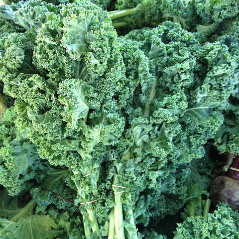 Kurly Kale per bunch
