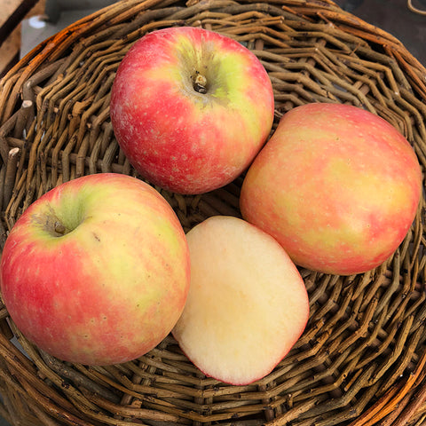 Pink Lady Apples per lb. (2-3)